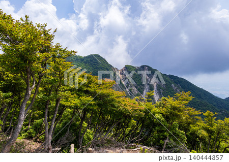 釈迦ヶ岳(三重・滋賀)猫岳山頂付近より大蔭のガレを望む 釈迦ヶ岳(三重・滋賀)猫岳山頂付近より大蔭のガレを望む 140444857