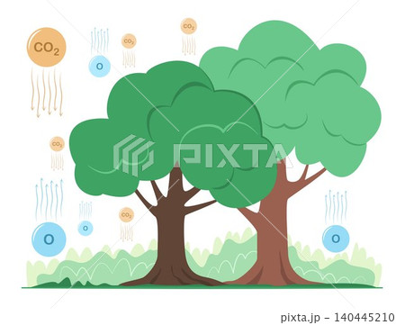 Big Trees in Natural Forest Absorb Carbon Dioxide and Release Oxygen into the Atmosphere for Mitigation the Global Warming, Climate Change and Environment Care Concept Illustration Clip Art Big Trees in Natural Forest Absorb Carbon Dioxide and Release Oxygen into the Atmosphere for Mitigation the Global Warming, Climate Change and Environment Care Concept Illustration Clip Art 140445210