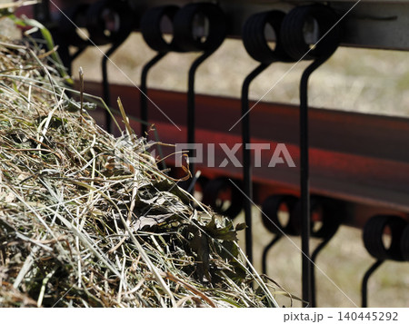 Red Forage Wagon Collecting Hay in a Sunny Farm Field During Harvest Season in dolomites 140445292