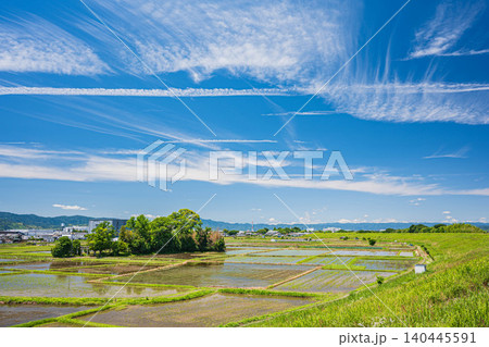 木津川沿いの田園風景 京都府八幡市 木津川沿いの田園風景 京都府八幡市 140445591
