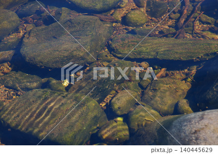 Shiny gold rock on riverbed under clear water Shiny gold rock on riverbed under clear water 140445629