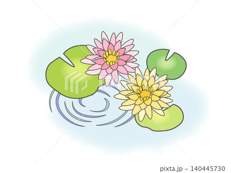 水に浮かぶ睡蓮のイラスト 140445730