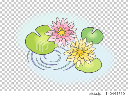 水に浮かぶ睡蓮のイラスト 140445730
