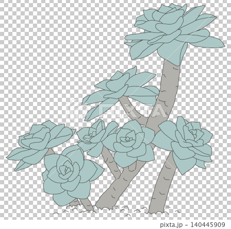 Succulent plants Succulent plants 140445909