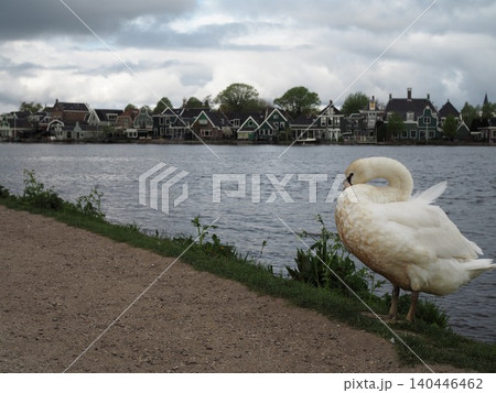 オランダの風車街 ザーンセスカンス(Zaanse Schans) オランダの風車街 ザーンセスカンス(Zaanse Schans) 140446462