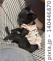 寝ている犬 140446870