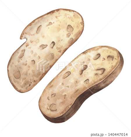 Toasted wheat bread slice set. Hand-painted watercolor illustration isolated on white for bakery, menu design, recipe books, food packaging, restaurant marketing, culinary blogs, grocery advertising Toasted wheat bread slice set. Hand-painted watercolor illustration isolated on white for bakery, menu design, recipe books, food packaging, restaurant marketing, culinary blogs, grocery advertising 140447014