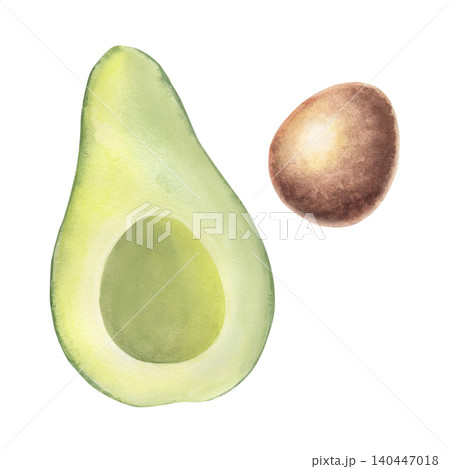 Fresh avocado half, kernel. Hand-painted watercolor illustration isolated on white. Perfect for healthy food branding, recipe book, nutrition guides, restaurant menus, cosmetic, wellness design, logo Fresh avocado half, kernel. Hand-painted watercolor illustration isolated on white. Perfect for healthy food branding, recipe book, nutrition guides, restaurant menus, cosmetic, wellness design, logo 140447018