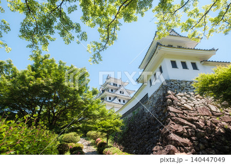 郡上八幡城 郡上八幡城 140447049