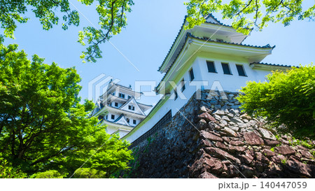 郡上八幡城 郡上八幡城 140447059