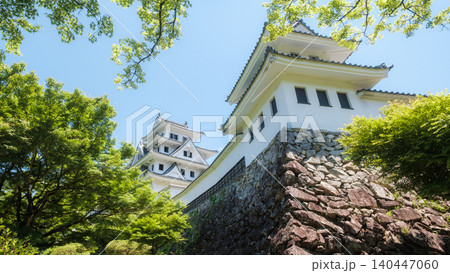郡上八幡城 郡上八幡城 140447060