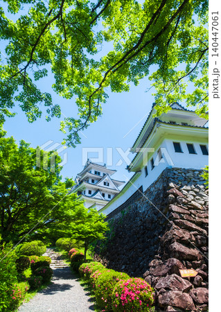 郡上八幡城 郡上八幡城 140447061