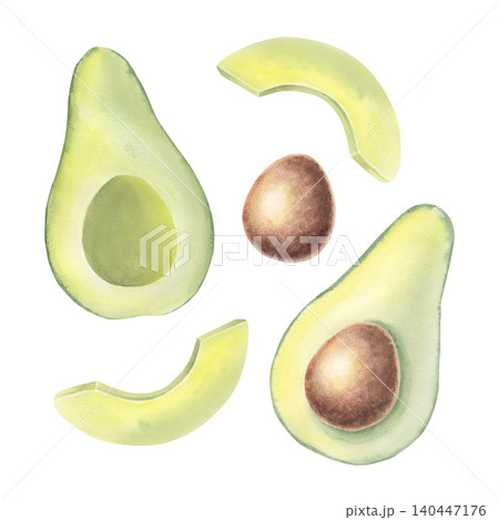 Fresh avocado set. Hand-painted watercolor illustration isolated on white. Perfect for healthy food branding, recipe book, nutrition guides, restaurant menus, cosmetic, wellness design, posters Fresh avocado set. Hand-painted watercolor illustration isolated on white. Perfect for healthy food branding, recipe book, nutrition guides, restaurant menus, cosmetic, wellness design, posters 140447176
