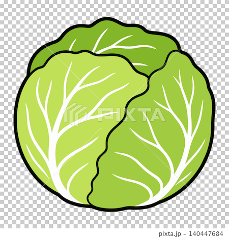 Whole cabbage, vegetable ingredient, food image illustration Whole cabbage, vegetable ingredient, food image illustration 140447684