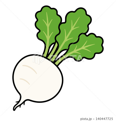 白かぶの野菜イラスト 葉付き根菜ベクター素材 白かぶの野菜イラスト 葉付き根菜ベクター素材 140447725