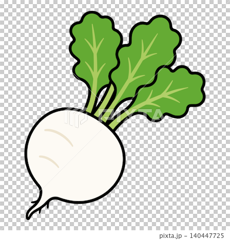 白かぶの野菜イラスト 葉付き根菜ベクター素材 白かぶの野菜イラスト 葉付き根菜ベクター素材 140447725