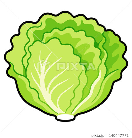 レタスのシンプル野菜イラスト レタスのシンプル野菜イラスト 140447771