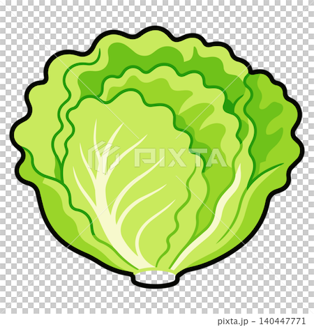 レタスのシンプル野菜イラスト レタスのシンプル野菜イラスト 140447771