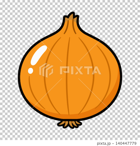 Simple onion illustration Simple onion illustration 140447779