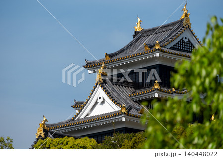 岡山城の天守閣と金色の鯱 岡山城の天守閣と金色の鯱 140448022