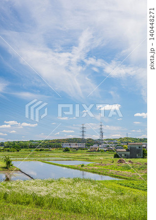 京田辺の田園風景 京都府京田辺市 京田辺の田園風景 京都府京田辺市 140448271
