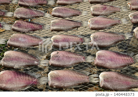 Texture or background of Sun dried trichogaster pectoralis fish. Texture or background of Sun dried trichogaster pectoralis fish. 140448373