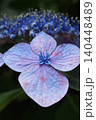 紫陽花のクローズアップ 140448489