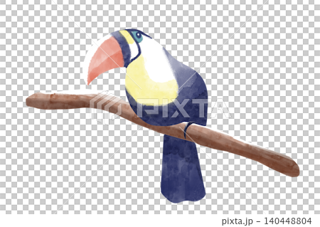 水彩風オオハシのイラスト トロピカルバード 南国の鳥 夏 背景透過 ロゴ用あしらい 140448804