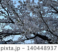 桜 140448937