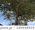 大木 140448939