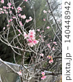 桜 140448942
