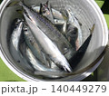 釣りあげた魚 140449279
