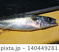 新鮮な魚 140449281