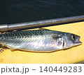 新鮮な魚 140449283