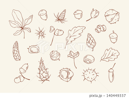 Hand drawn autumn nature elements and forest seeds doodle set 140449337