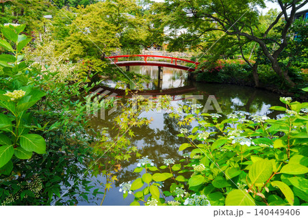 東本願寺岡崎別院の庭園 東本願寺岡崎別院の庭園 140449406