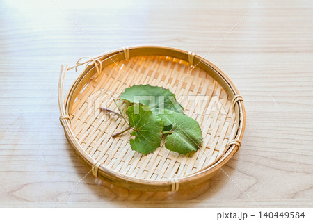 竹ざるに盛られた蕗の新芽 竹ざるに盛られた蕗の新芽 140449584