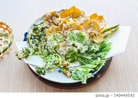 笊に盛った収獲した山菜の天ぷら 140449593