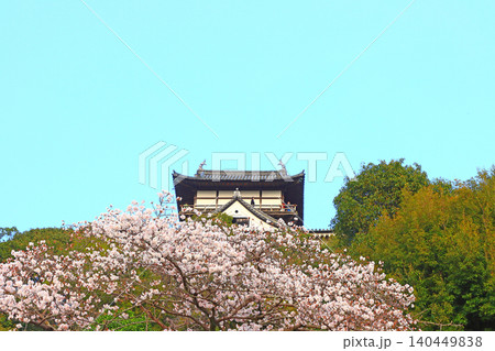 愛知県犬山市、犬山城と桜の風景 愛知県犬山市、犬山城と桜の風景 140449838