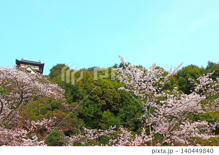 愛知県犬山市、犬山城と桜の風景 愛知県犬山市、犬山城と桜の風景 140449840