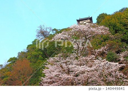 愛知県犬山市、犬山城と桜の風景 愛知県犬山市、犬山城と桜の風景 140449841