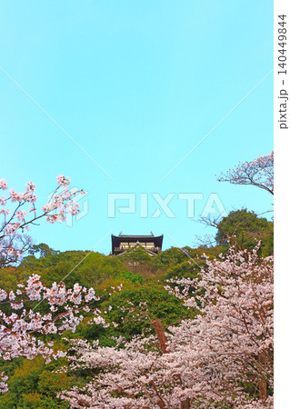 愛知県犬山市、犬山城と桜の風景 140449844