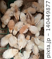 White and Cream Chicks in Livestock Production 140449877
