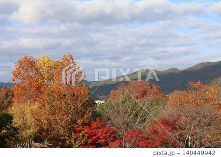 紅葉のある風景 紅葉のある風景 140449942