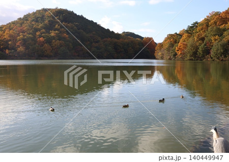 紅葉した木々と池 紅葉した木々と池 140449947