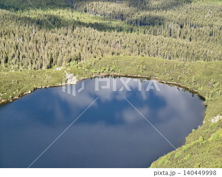 Aerial view of a small lake surrounded by dense evergreen forest 140449998