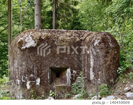 Moss covered concrete bunker among dense green forest 140450009