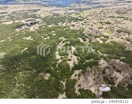 Aerial view of coastal scrubland with scattered vegetation and sandy patches Aerial view of coastal scrubland with scattered vegetation and sandy patches 140450112