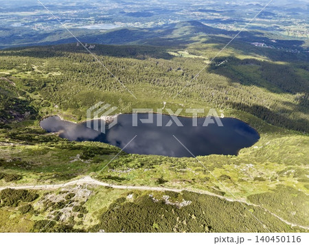 Aerial view of a mountain tarn surrounded by alpine forest and meadows 140450116