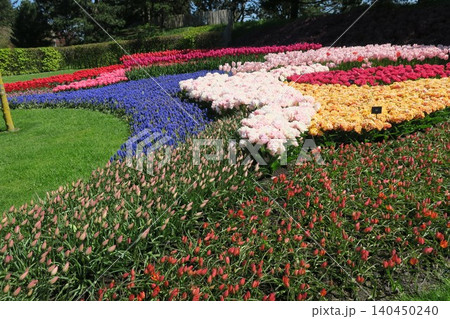 キューケンホフ公園 140450240